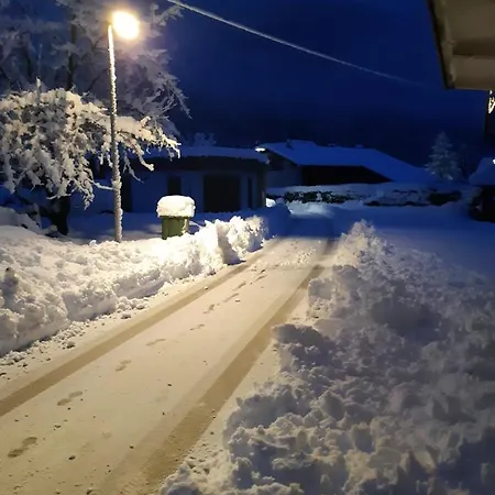Апартаменты Alpska Roza Краньска Гора