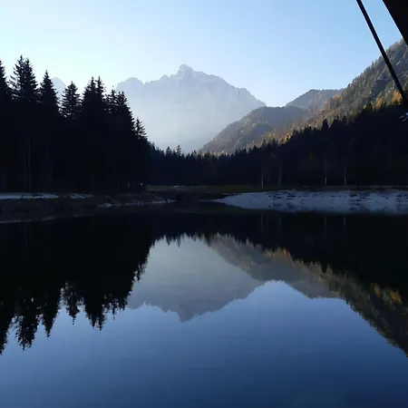 Alpska Roza