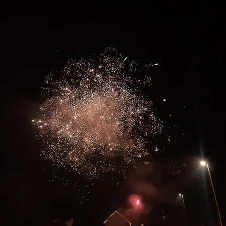 Alpska Roza Kranjska Gora