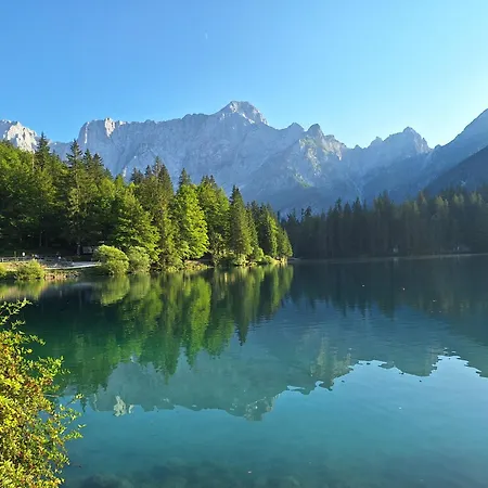 Alpska Roza Апартаменты *