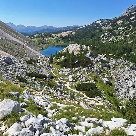 Alpska Roza Краньска Гора