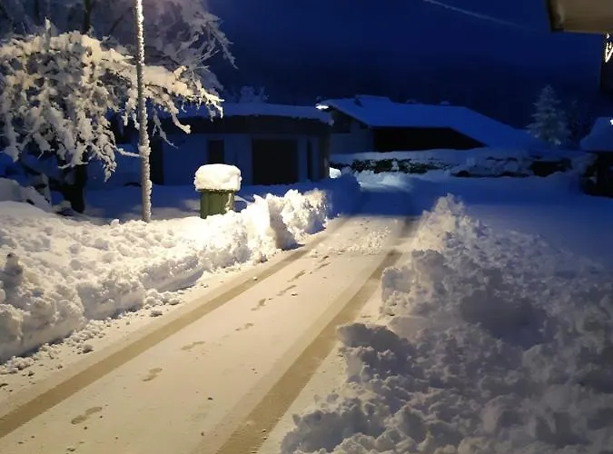 Apartma Alpska Roza Kranjska Gora