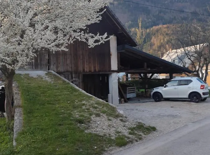 Apartma Alpska Roza Kranjska Gora