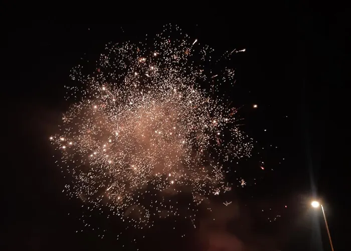 Alpska Roza Kranjska Gora